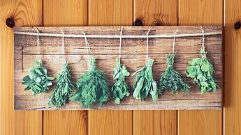 Italianway - Belvedere 28 - Stella Bianca