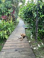 Jamaica Colors Eco-Retreat Hotel and Spa