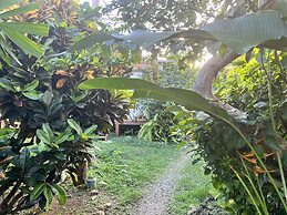 Jamaica Colors Eco-Retreat Hotel and Spa