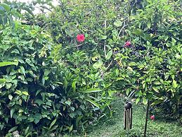 Jamaica Colors Eco-Retreat Hotel and Spa