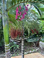 Jamaica Colors Eco-Retreat Hotel and Spa