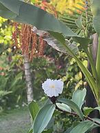 Jamaica Colors Eco-Retreat Hotel and Spa