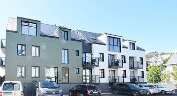 New Downtown Apartment With Free Parking
