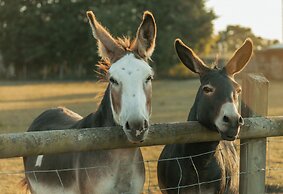 Glamping in Wiltshire in our Luxury Shepherds Hut