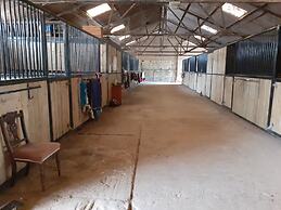 Glamping in Wiltshire in our Luxury Shepherds Hut