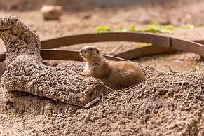 Natura Fun House & Camping