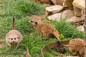 Natura Fun House & Camping