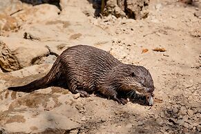 Natura Fun House & Camping