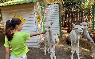 Natura Fun House & Camping