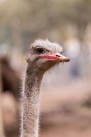 Natura Fun House & Camping