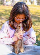 Natura Fun House & Camping