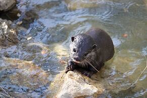 Natura Fun House & Camping