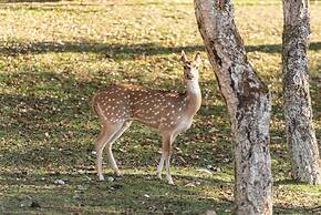 Natura Fun House & Camping