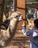 Natura Fun House & Camping