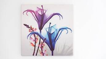 So-l563-tola35e2 - Villa Tola - Blu