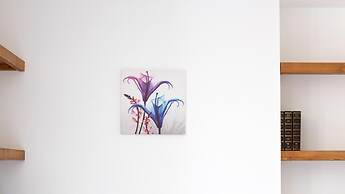 So-l563-tola35e2 - Villa Tola - Blu