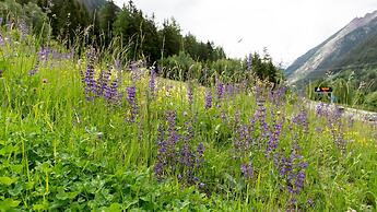 Villa Tola - Violetto