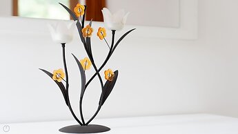 Villa Tola - Violetto