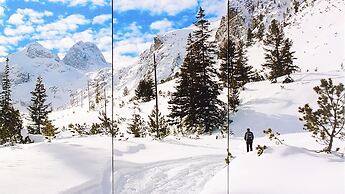 Italianway - Belvedere 28 - Genziana