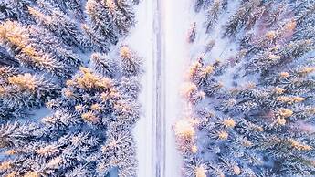 Italianway - Belvedere 28 - Genziana