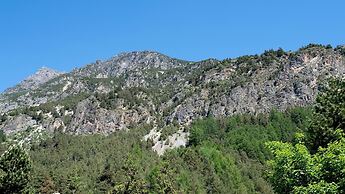 Italianway - Belvedere 28 - Genziana