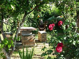 Maros Spitaki in Varipetro