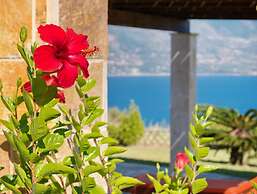 Villa Dionysos in Spartia