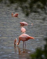 Hostal Muro de las Lagrimas