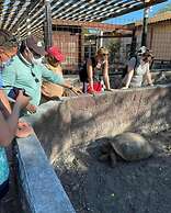 Hostal Muro de las Lagrimas