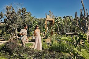 El Perdido Desert Dream - Todos Santos Adults Only