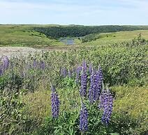 The Keeper's Kitchen B&B