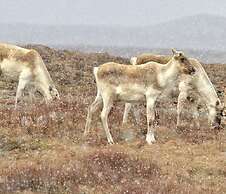 The Keeper's Kitchen B&B