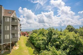 Gatlinburg Summit 1206/Winter Special