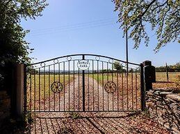 Little Rowan at Rowan Park Farm