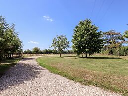 Little Rowan at Rowan Park Farm