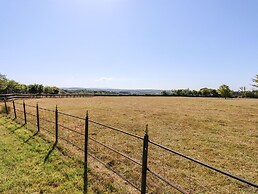Little Rowan at Rowan Park Farm