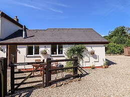 Little Rowan at Rowan Park Farm
