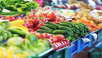 Nirvana Holiday Homes