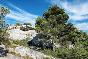Mas Vidau Porte des Alpilles