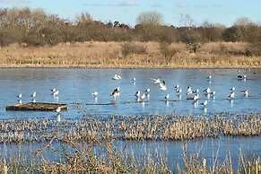 Stunning Luxury Apartment Near Motherwell