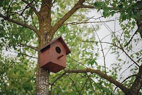 Shabran Wellbeing Resort