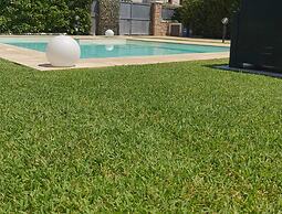 Terrasini Villa With Pool