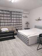 Impeccable 1-bed Studio in Roșu