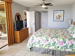 Hibiscus B203