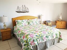 Hibiscus B203