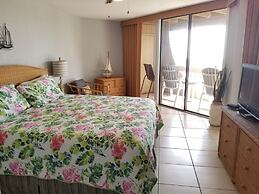 Hibiscus B203