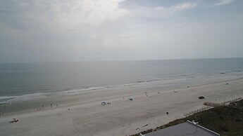 Tradewinds 151