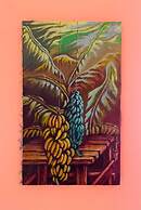 Casa Durazno - Beautiful 3 Bed in Santo Domingo