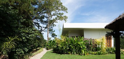 Fazenda Santa Vitória