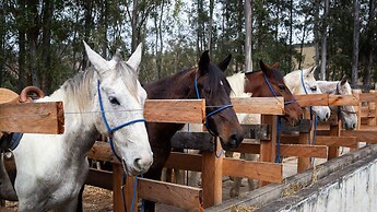 Fazenda Santa Vitória